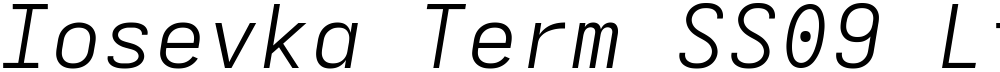 Iosevka Term SS09 LtEx