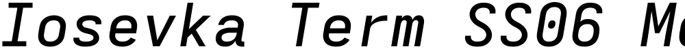 Iosevka Term SS06 MdEx