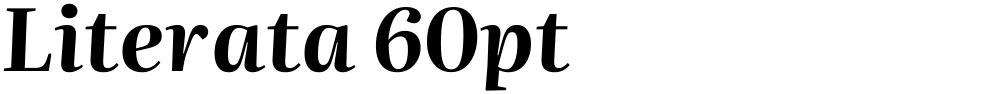 Literata 60pt