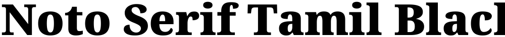 Noto Serif Tamil Black