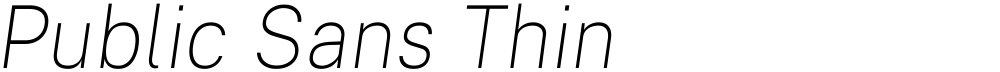 Public Sans Thin