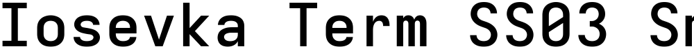 Iosevka Term SS03 SmBdEx