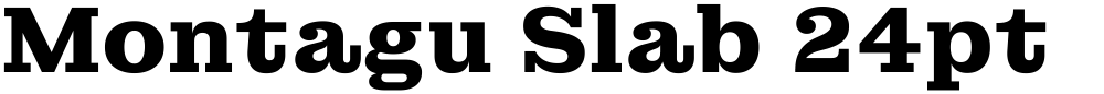 Montagu Slab 24pt