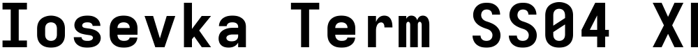 Iosevka Term SS04 XBdEx