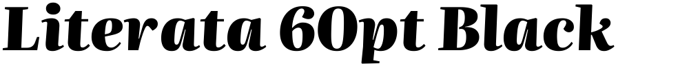 Literata 60pt Black