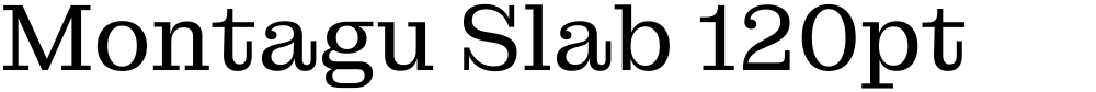 Montagu Slab 120pt