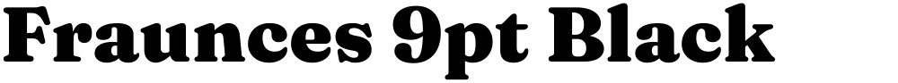 Fraunces 9pt Black