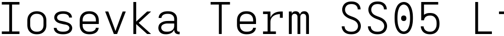 Iosevka Term SS05 LtEx