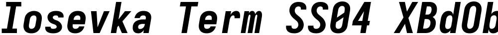 Iosevka Term SS04 XBdObl