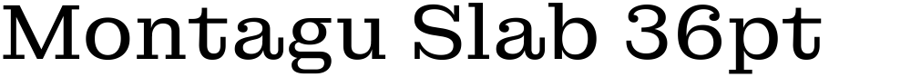 Montagu Slab 36pt