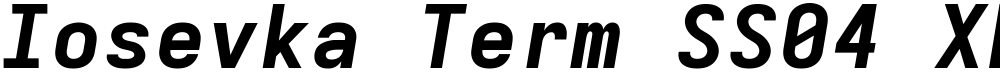 Iosevka Term SS04 XBdExObl