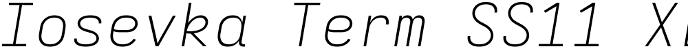 Iosevka Term SS11 XLtEx
