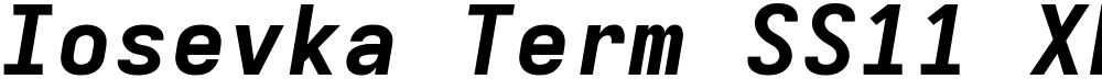 Iosevka Term SS11 XBdExObl
