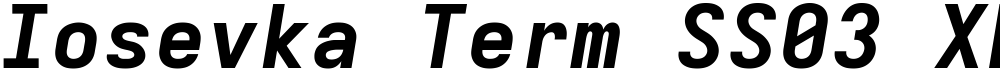 Iosevka Term SS03 XBdExObl