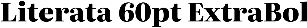 Literata 60pt ExtraBold