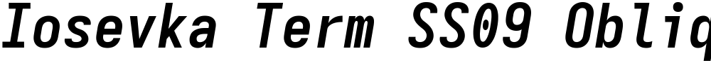 Iosevka Term SS09 Oblique