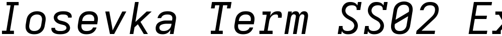 Iosevka Term SS02 ExObl
