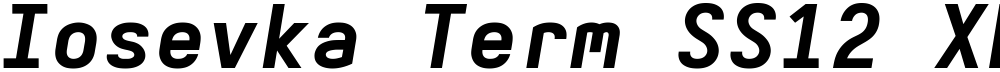 Iosevka Term SS12 XBdExObl