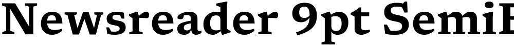Newsreader 9pt SemiBold