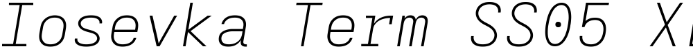 Iosevka Term SS05 XLtExObl