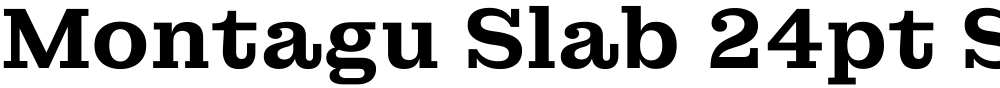 Montagu Slab 24pt SemiBold