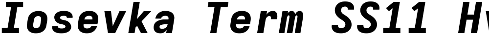 Iosevka Term SS11 HvExObl