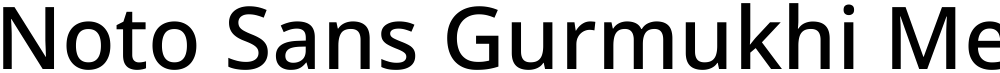 Noto Sans Gurmukhi Medium