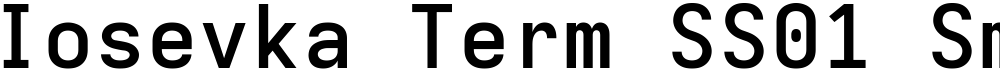Iosevka Term SS01 SmBdEx
