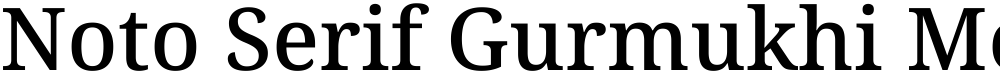 Noto Serif Gurmukhi Medium