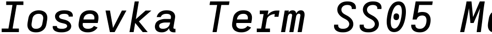 Iosevka Term SS05 MdEx