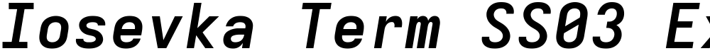 Iosevka Term SS03 ExObl