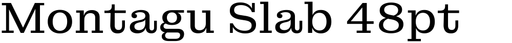 Montagu Slab 48pt