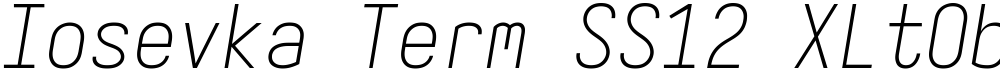 Iosevka Term SS12 XLtObl