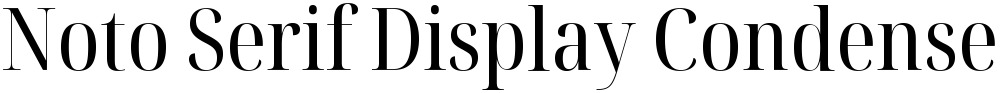 Noto Serif Display Condensed