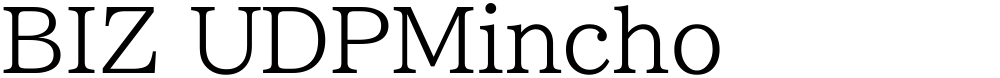 BIZ UDPMincho