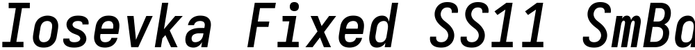 Iosevka Fixed SS11 SmBdObl