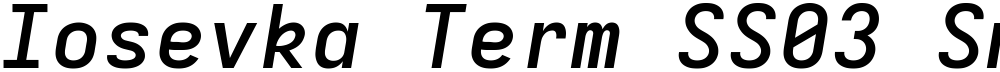 Iosevka Term SS03 SmBdEx