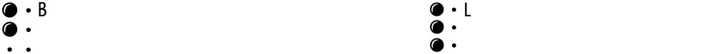 BrailleLatin