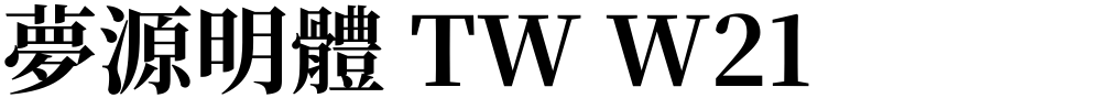 夢源明體 TW W21