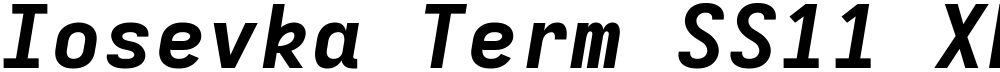 Iosevka Term SS11 XBdEx