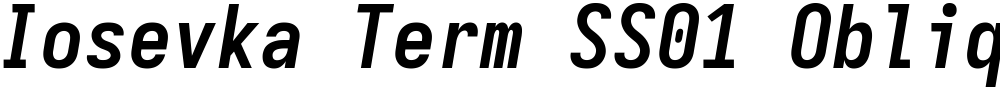 Iosevka Term SS01 Oblique