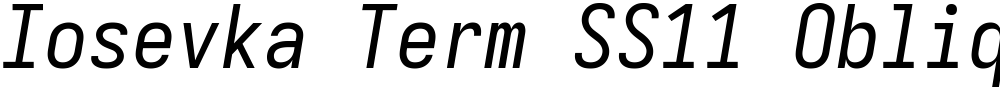 Iosevka Term SS11 Oblique