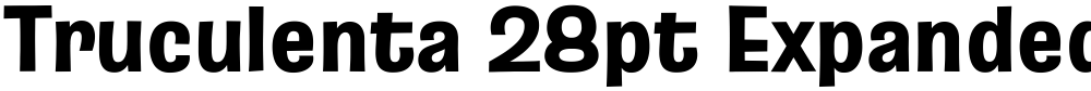 Truculenta 28pt Expanded ExtraBold