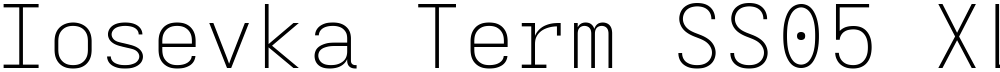 Iosevka Term SS05 XLtEx