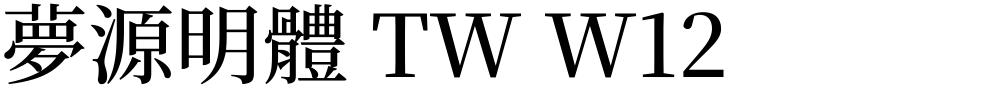 夢源明體 TW W12