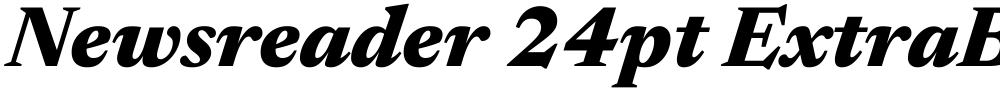 Newsreader 24pt ExtraBold
