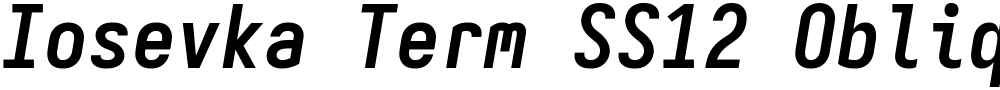 Iosevka Term SS12 Oblique