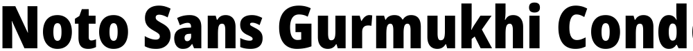 Noto Sans Gurmukhi Condensed Black