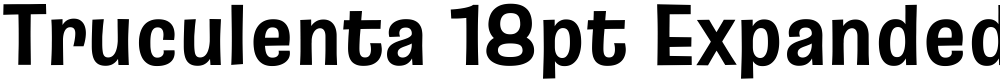 Truculenta 18pt Expanded