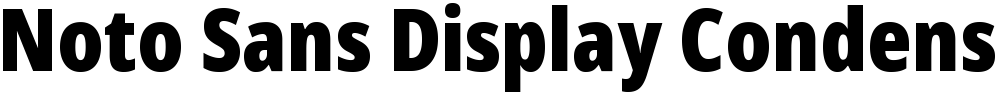 Noto Sans Display Condensed Black
